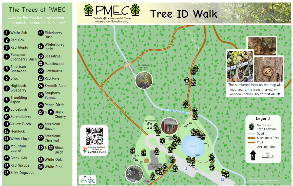 TreeID